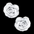 Pinche Rosa Gamuza 6Cm Blanco X1Par